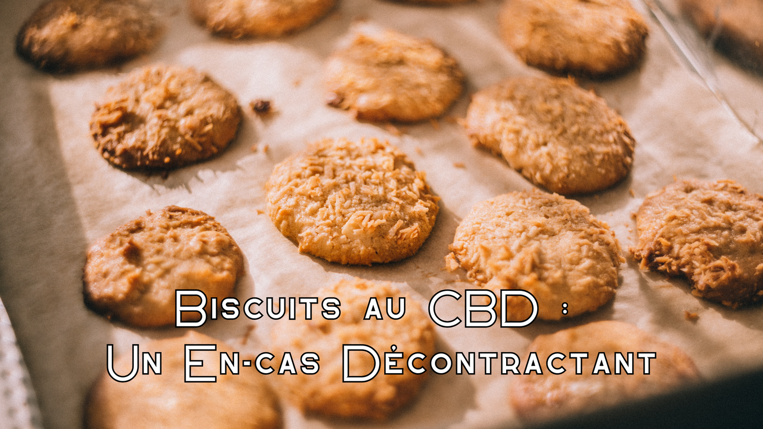 Biscuits au CBD : Un En-cas Décontractant