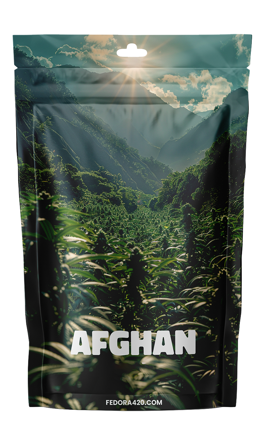 R9 - Afghan CBD+ Le Trésor d'Orient