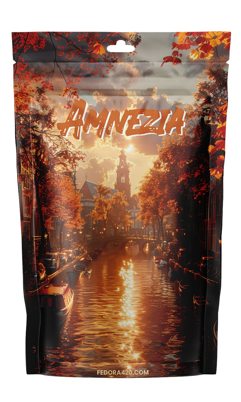 Découvrez la légendaire Amnezia CBD | Fedora 420