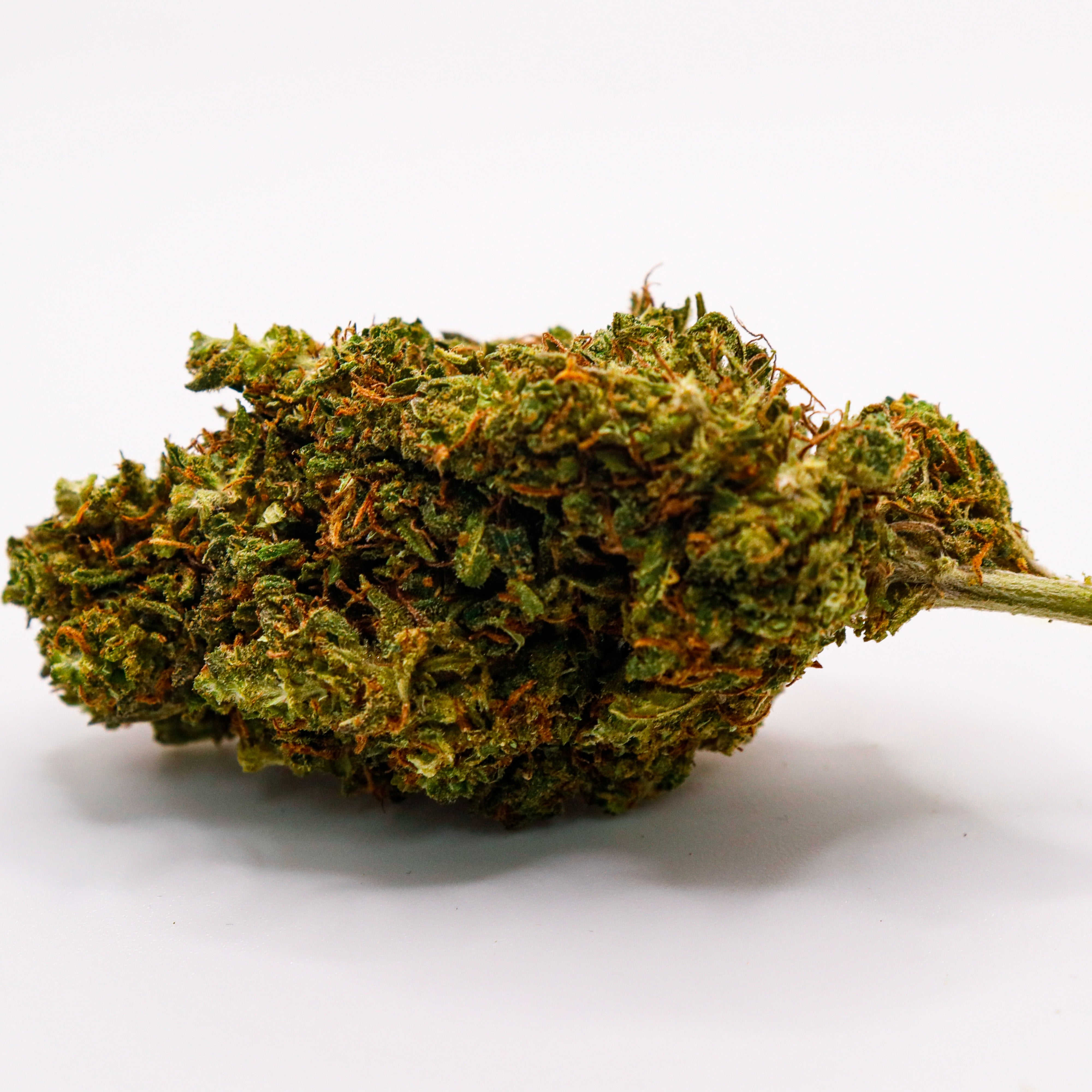 La E.T CBD+ - L'Aventure Céleste