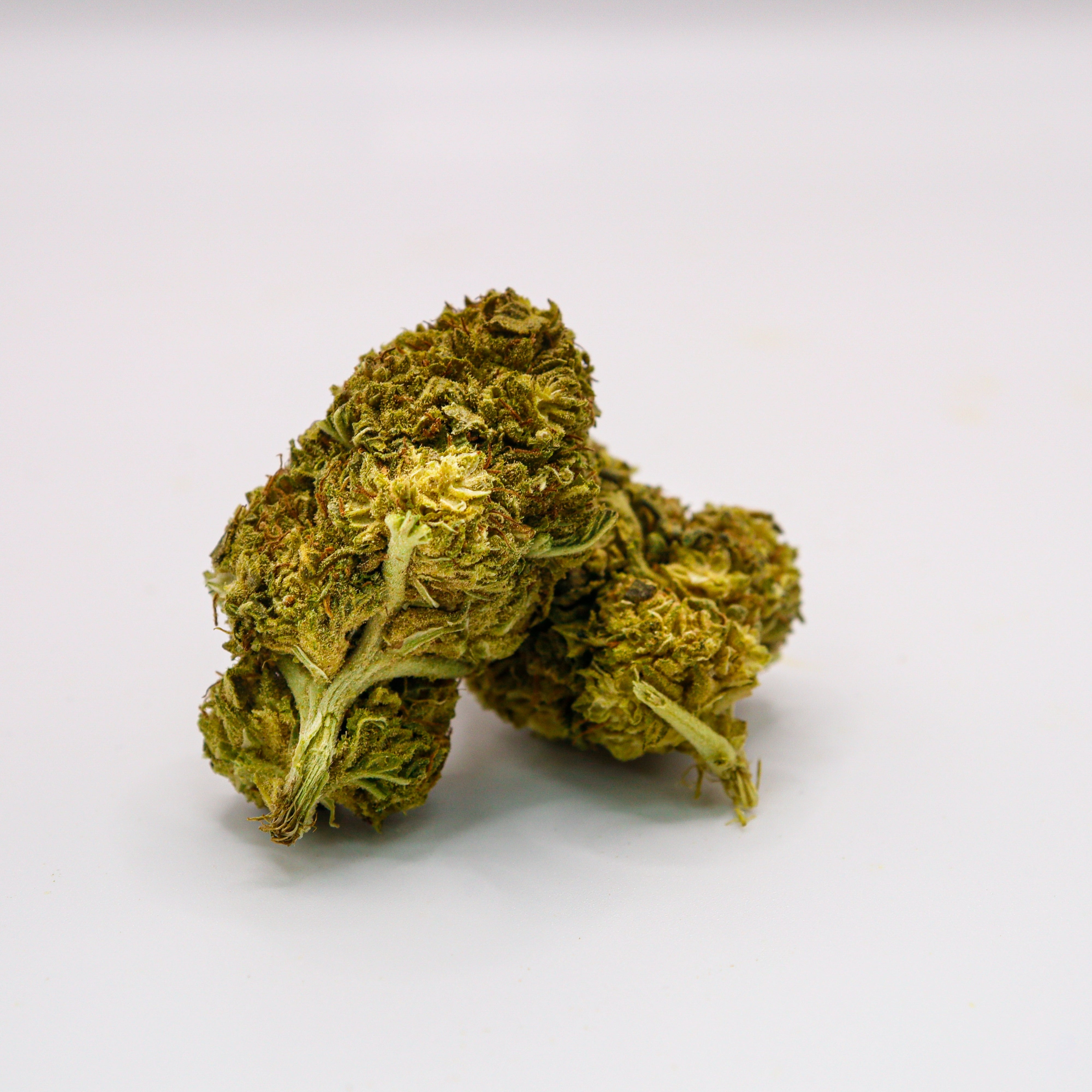 Mona Lisa - Muse Moderne de la Créativité