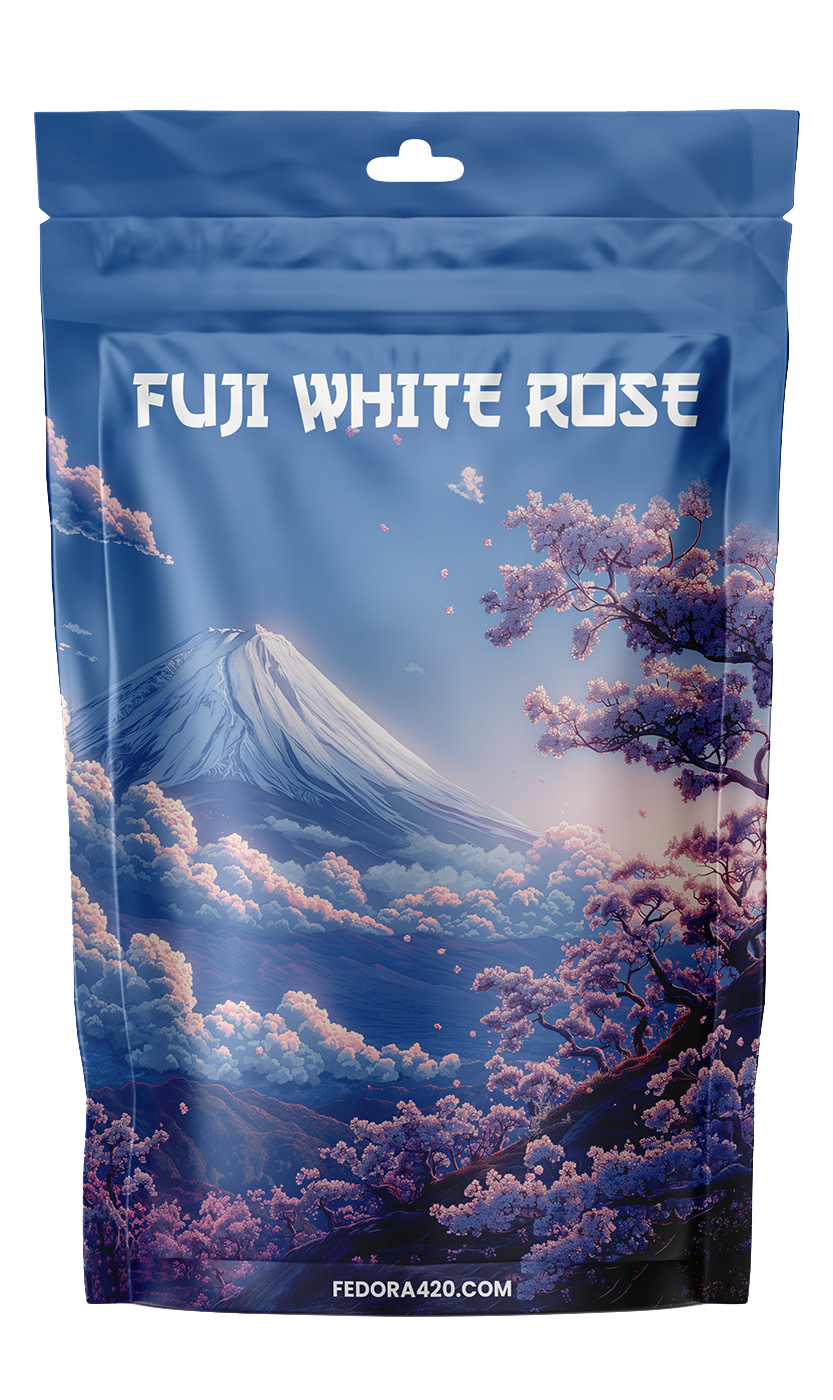Fuji White Rose - Un Voyage Sensoriel au Cœur du Japon
