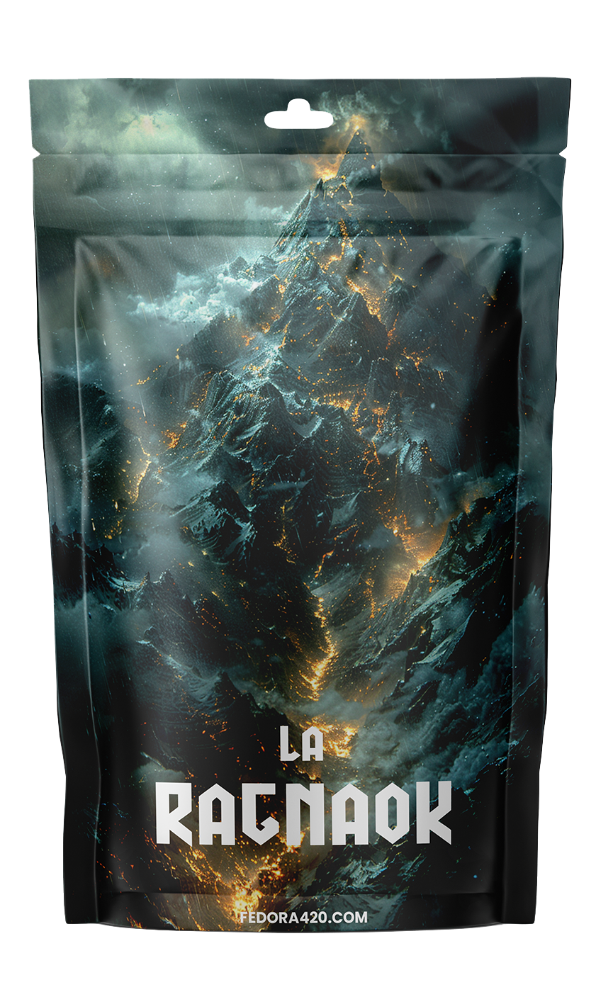 La Ragnarok CBD + - Une Force Mythologique