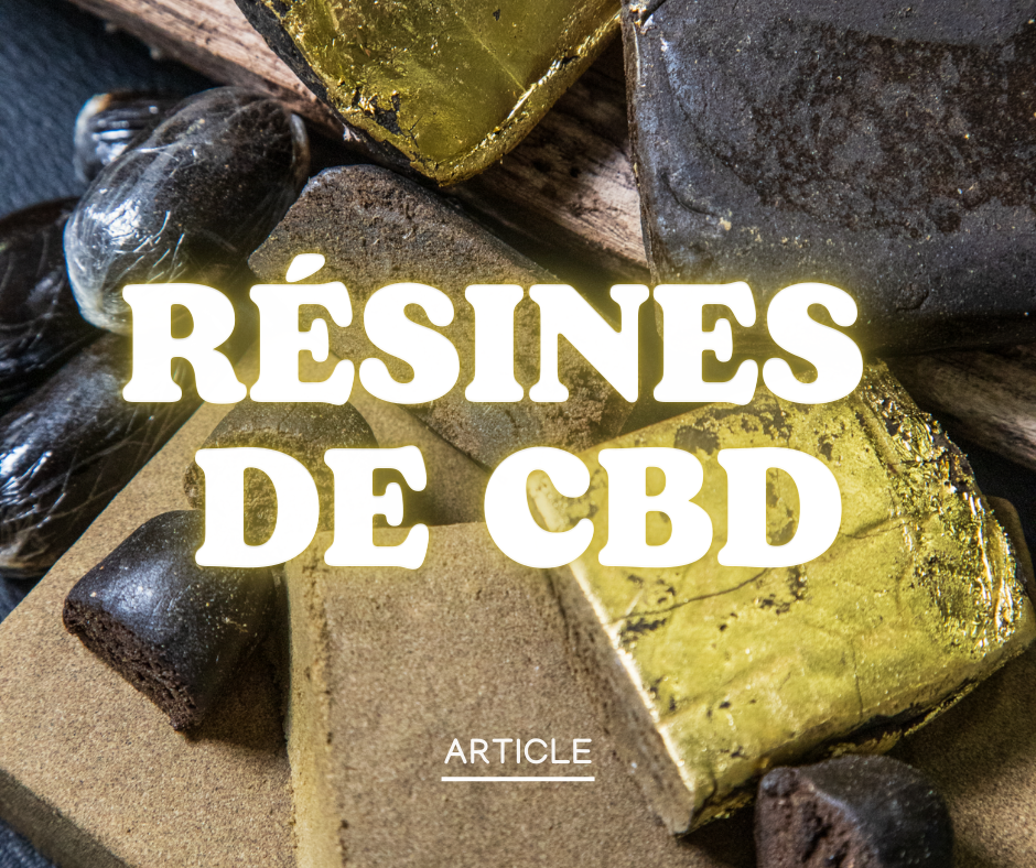 RÉSINES de CBD