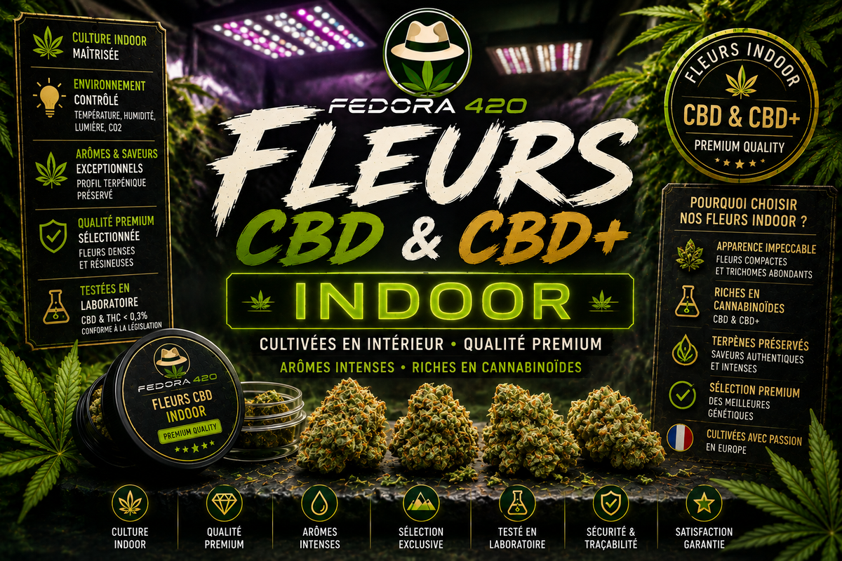 Collection Fleurs CBD Indoor Fedora 420 avec fleurs CBD et CBD+ cultivées en intérieur, riches en terpènes, cannabinoïdes et arômes premium