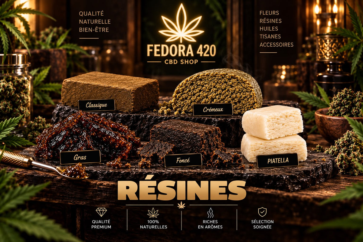 Résines CBD Fedora 420 – découvrez notre sélection de résines de cannabidiol.