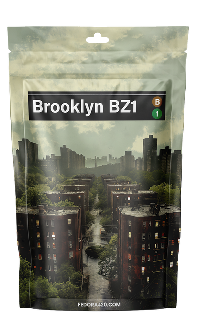 Brooklyn BZ1 - Fleur de CBD Premium Inspirée de New York