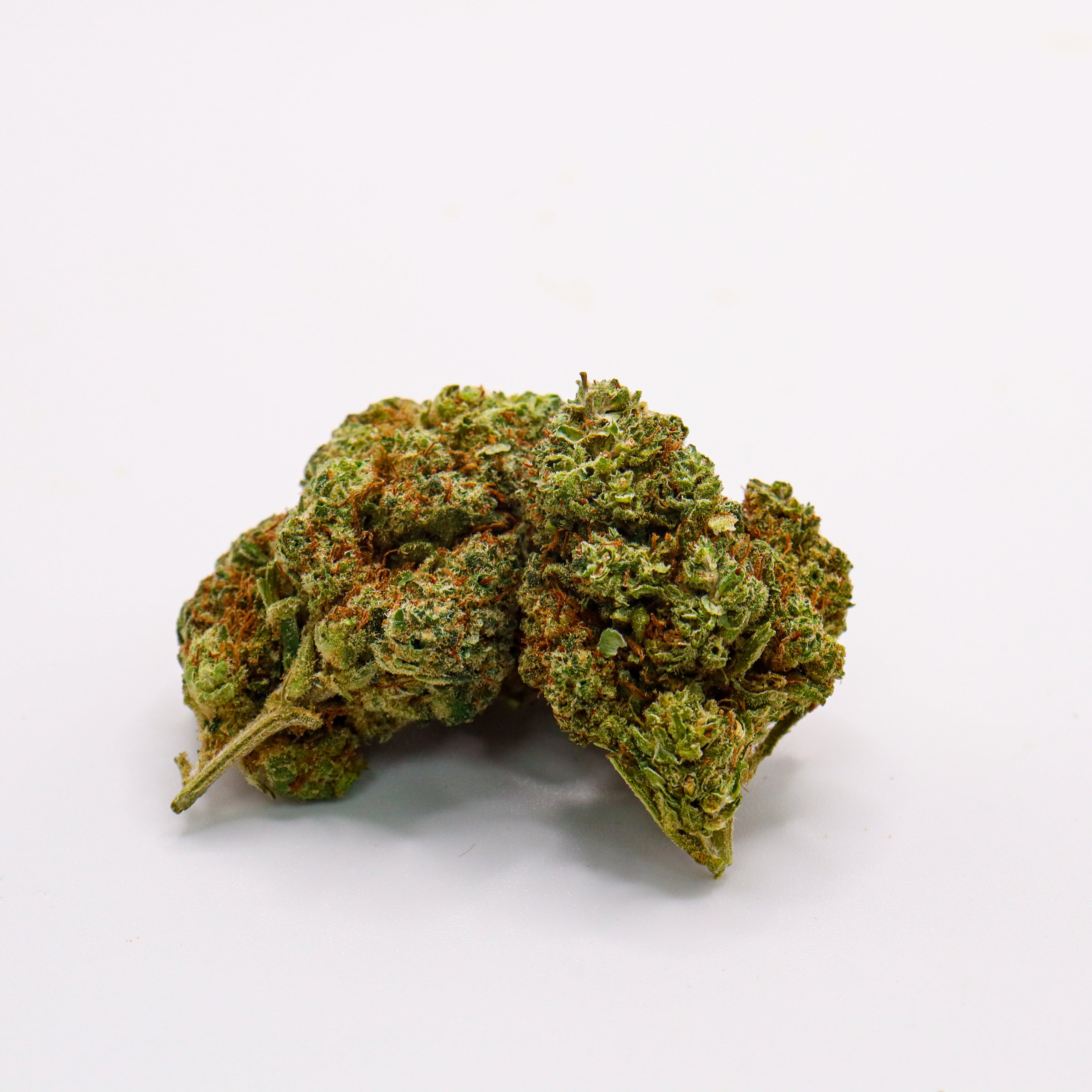 Manilla Green - Évasion Urbaine