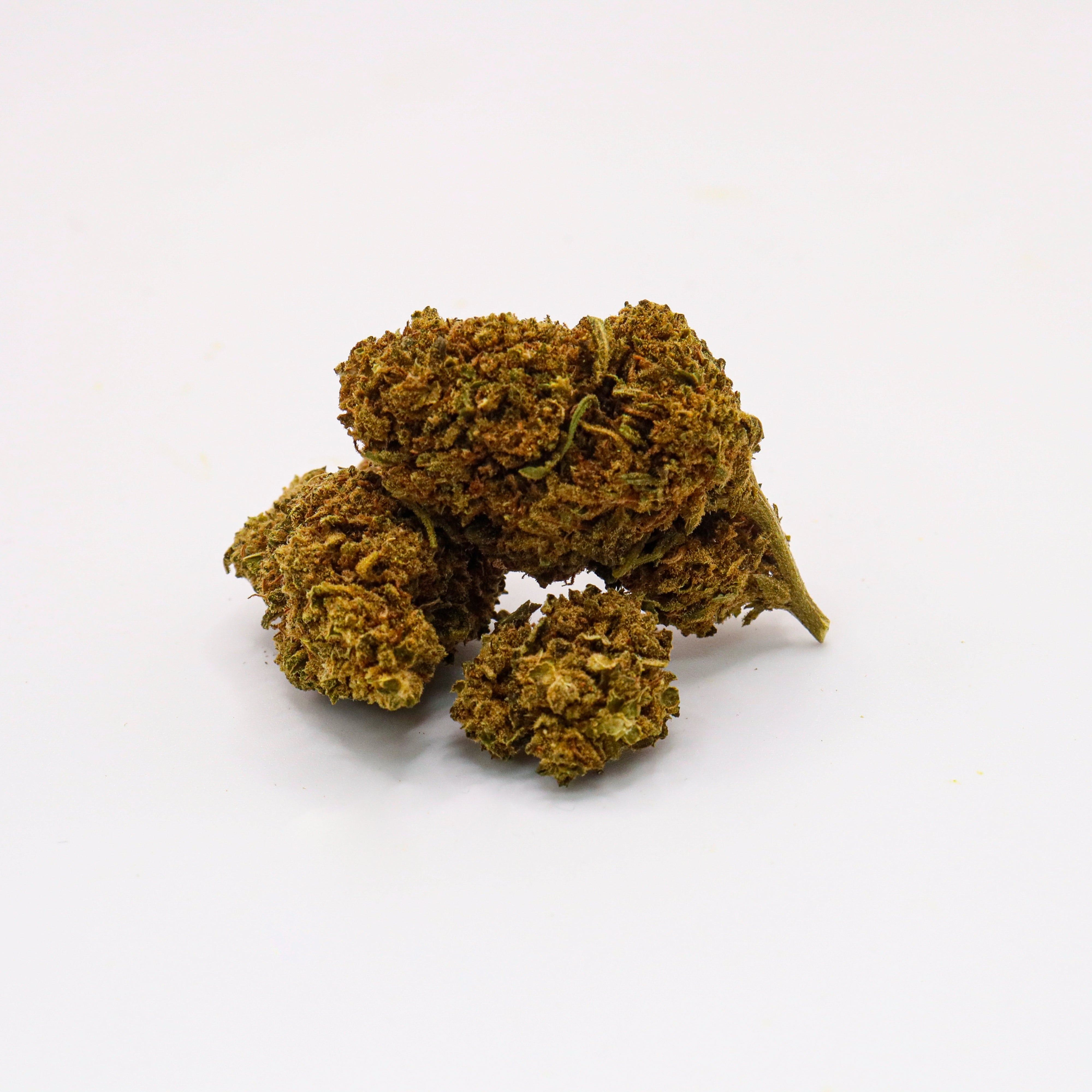 Mexico Mango - L'Évasion Tropicale