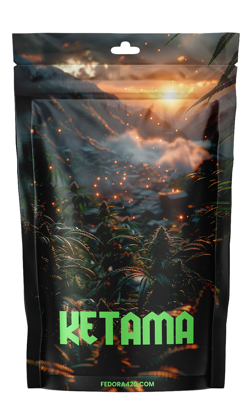 Ketama CBD+ première presse | Fedora420