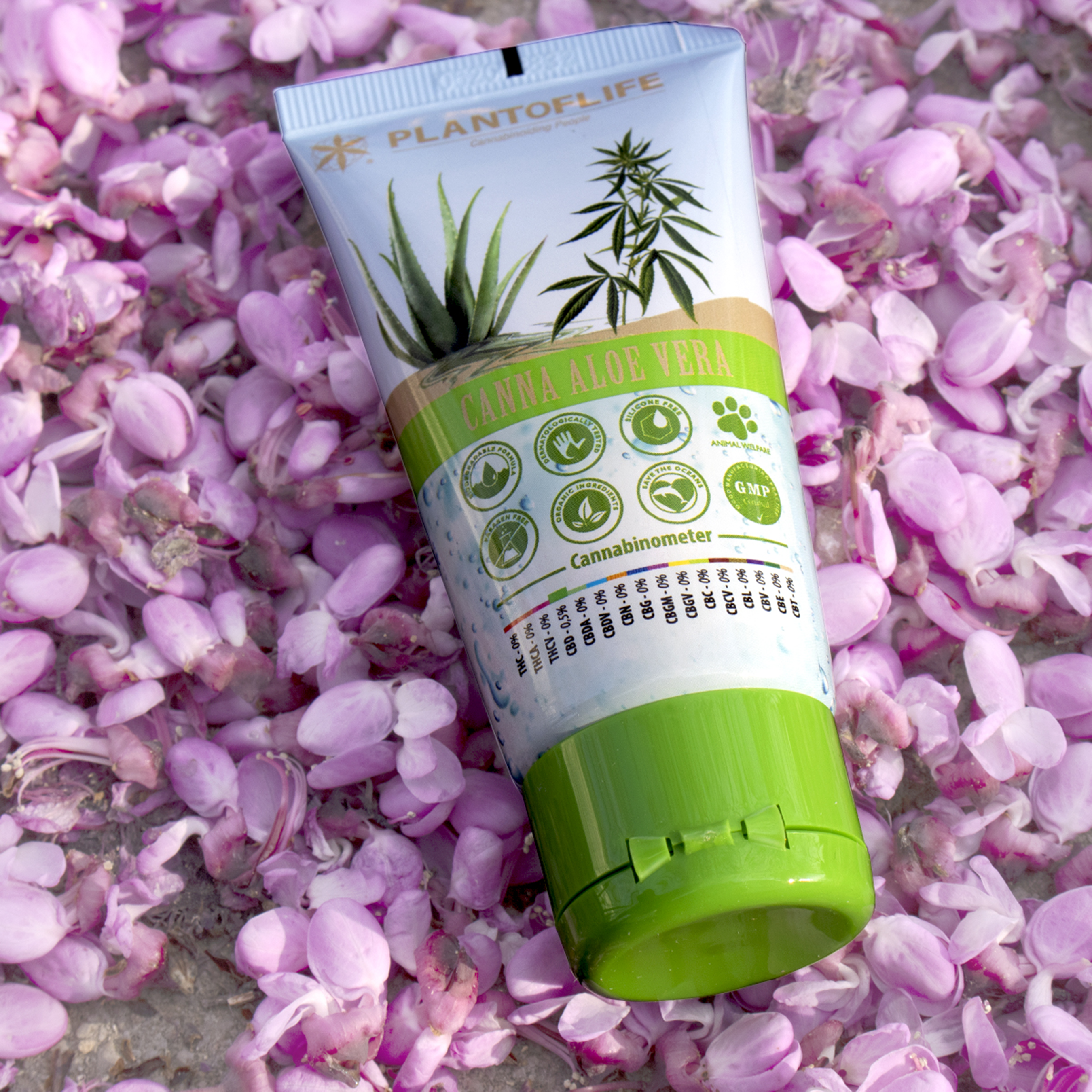 Aloe Vera CBD Skin Care 50ML